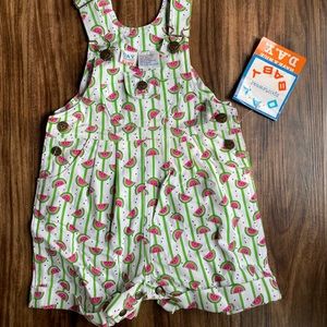 Watermelon overalls size 18 months NWT